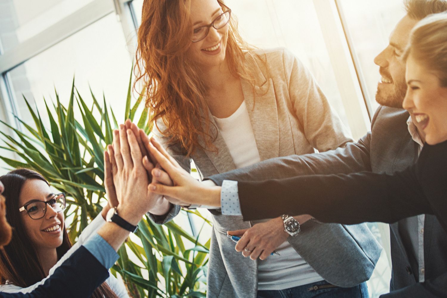 digital media company